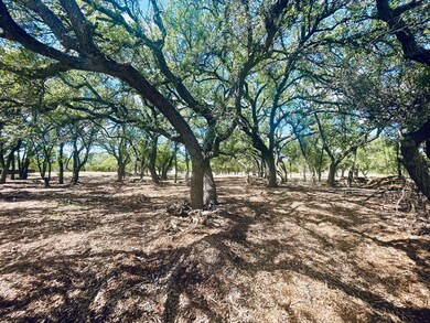 233 Towhead Valley Rd, Johnson City, TX 78636 - photo 3