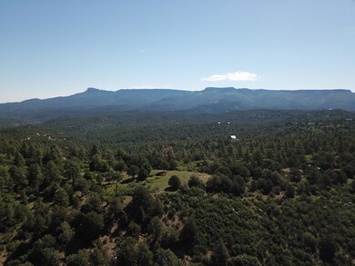 33021 Big Springs Overlook, Trinidad, CO 81082 - photo 6