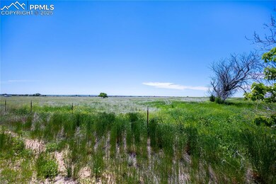 23655 E Garrett Rd, Calhan, CO 80808 - photo 7