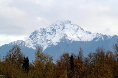 WCC Pioneer Peak