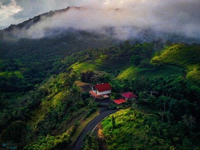 Km 2.0 Carr 173, Cidra, PR 00966 - photo 2