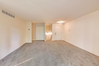 534 River Front Cir unit 604, Naperville, IL 60540 - photo 6