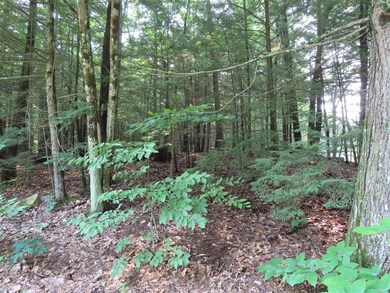 Lots 124-125 Andover Dr, Barnstead, NH 03225 - photo 3