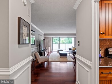 The Carlyle House unit 114, Arlington, VA 22204 - photo 5