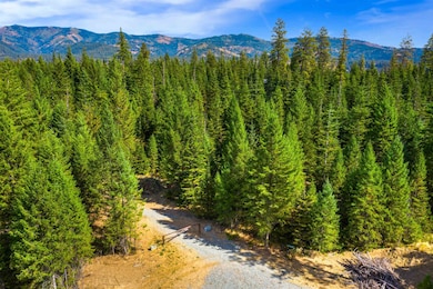 701 Happy Trails Ln, Newport, WA 99156 - photo 7