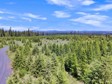 Bird's eye view of a mountainous background