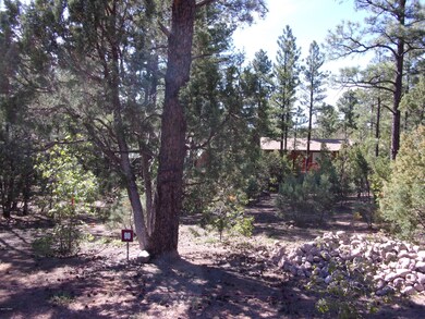 Beautiful land 2160 Pine Grove Drive