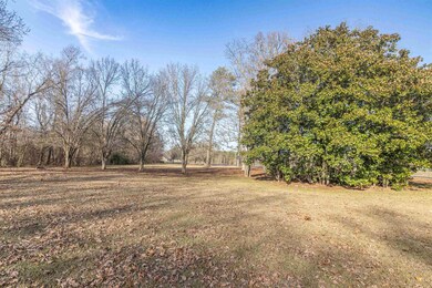 8453 Hwy 45 S Hwy, Ramer, TN 38375 - photo 7