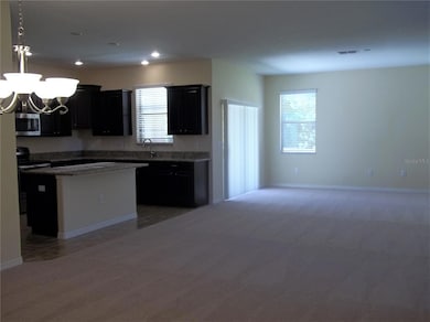 20014 Date Palm Way, Tampa, FL 33647 - photo 4