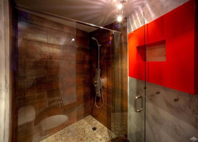European glass shower