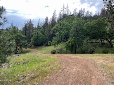 14991 California 3, Hayfork, CA 96041 - photo 3