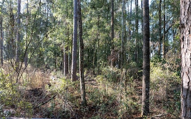 LT 16 280th Terrace, Branford, FL 32008 - photo 4