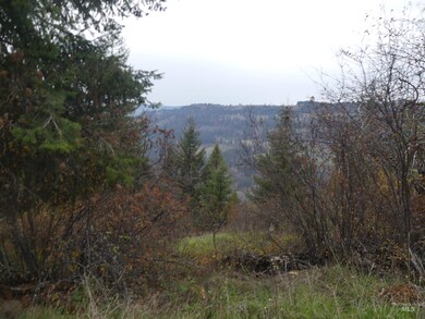 1684 Tranquil Lane (#1), Orofino, ID 83544 - photo 5