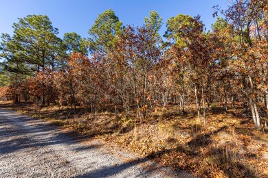 465 Roundabout Rd, Carthage, NC 28327 - photo 7