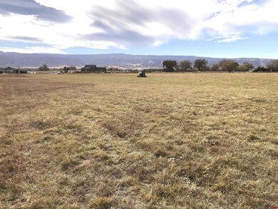 1217 (Lot 5) Lazy v Ln, Fruita, CO 81521 - photo 7
