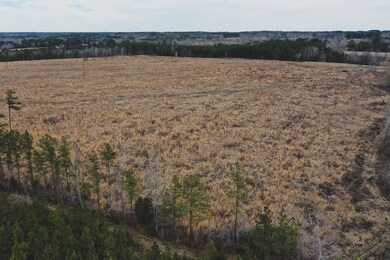 19.4 Ac. Nc 96 Hwy, Oxford, NC 27565 - photo 7