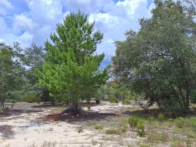 0 SW Kerria Ct unit 795440, Dunnellon, FL 34431 - photo 4