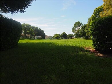 Green area behind shrubs