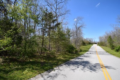 508 Riverchase Dr, Crossville, TN 38571 - photo 4