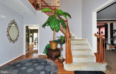 15305 Lions Den Rd, Burtonsville, MD 20866 - photo 7