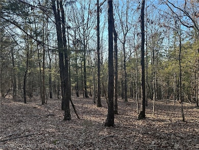 28734 Skyridge Ln, Heavener, OK 74937 - photo 2