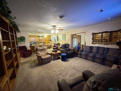 3131 N Cibola Ave, Hobbs, NM 88240 - photo 6