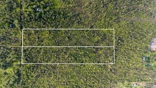 0 Road 2 (Ao) unit 725883, Mountain View, HI 96771 - photo 6