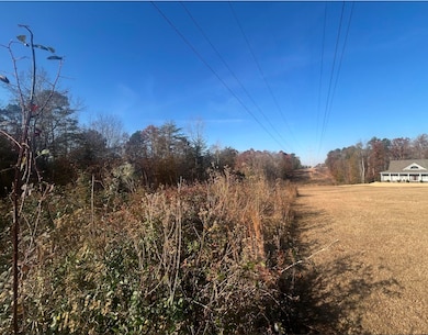 305 Lawtonwood Ln, Spartanburg, SC 29376 - photo 4