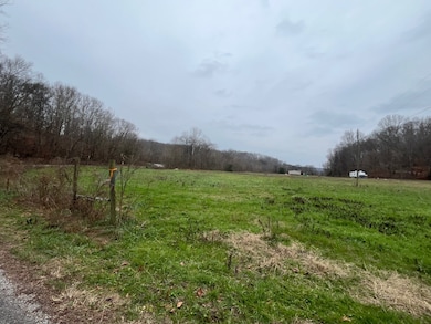 000 Walnut Grove Rd, Waynesboro, TN 38485 - photo 2