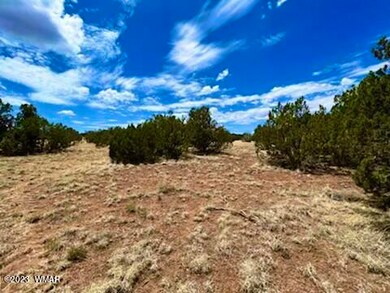 IMG-7694