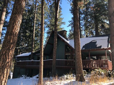 Cabin in the woods