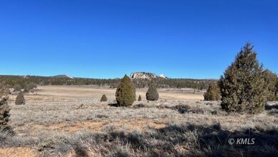 0 N A unit 1408922, Alton, UT 84710 - photo 6