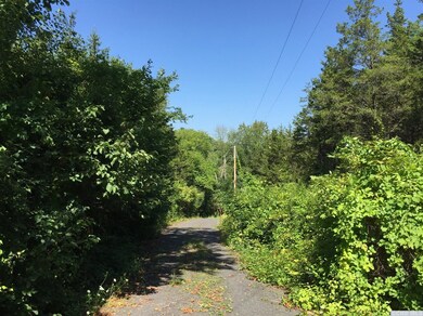 0 Schoharie Turnpike unit 117382, Athens, NY 12015 - photo 2