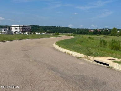 0 Waterpointe Dr unit 4120894, Flowood, MS 39232 - photo 3