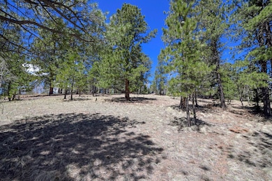 112 Blue Jay Ln, Divide, CO 80814 - photo 3