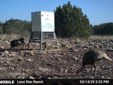 White Mountain Rd, Rocksprings, TX 78880 - photo 7