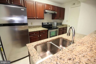 3902 Penderview Dr unit 1423, Fairfax, VA 22033 - photo 6