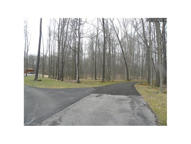 View of your treed lot, into the woods we will go. It can be treed or cleared....you decide.