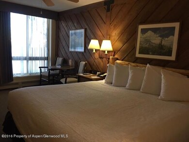 300 Carriage Way unit 106, Snowmass Village, CO 81615 - photo 2