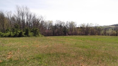 0 Locust Rd unit 1038344, Rutledge, TN 37861 - photo 5