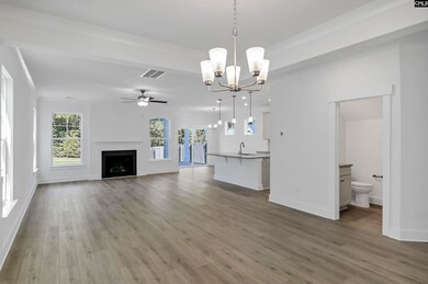 623 Thunder Gulch Ave, Lexington, SC 29073 - photo 6