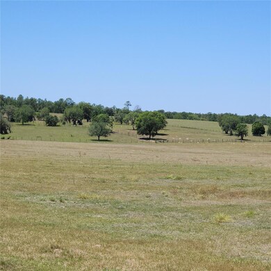 LOT 24 SW Timberlake Rd, Dunnellon, FL 34431 - photo 4