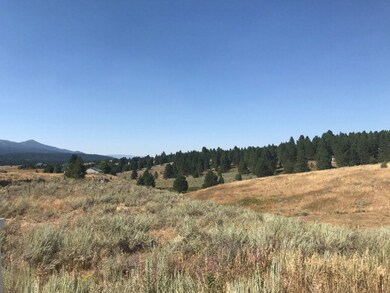 N.W. View