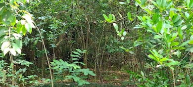 0 Farm To Market 1459 Rd, Sweeny, TX 77480 - photo 2