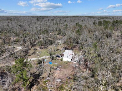 4278 Woods Creek Rd, Perry, FL 32347 - photo 5