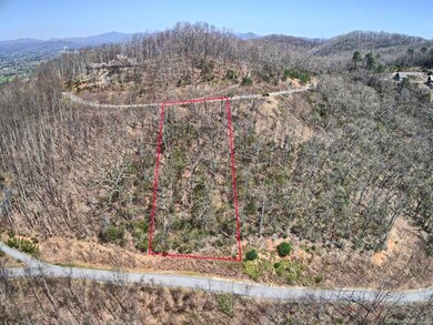 681 Blue Mist Way unit 78, Arden, NC 28704 - photo 6