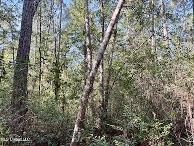 0 Washam Rd, Lucedale, MS 39452 - photo 5