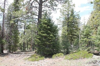 Picture of the Lot