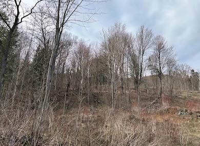 1837 River Rd, Lemington, VT 05903 - photo 2