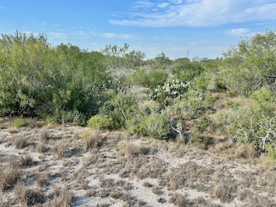 343 County Road 436, Three Rivers, TX 78071 - photo 4